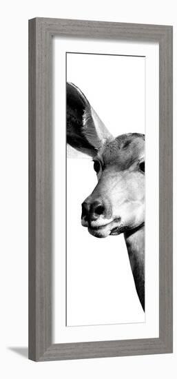 Safari Profile Collection - Antelope Impala Portrait White Edition X-Philippe Hugonnard-Framed Photographic Print