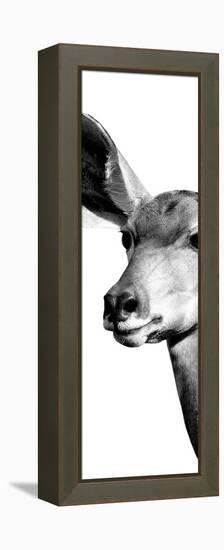 Safari Profile Collection - Antelope Impala Portrait White Edition X-Philippe Hugonnard-Framed Premier Image Canvas