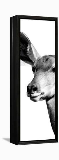 Safari Profile Collection - Antelope Impala Portrait White Edition X-Philippe Hugonnard-Framed Premier Image Canvas