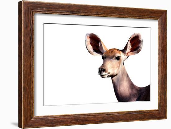 Safari Profile Collection - Antelope Impala Portrait White Edition-Philippe Hugonnard-Framed Photographic Print