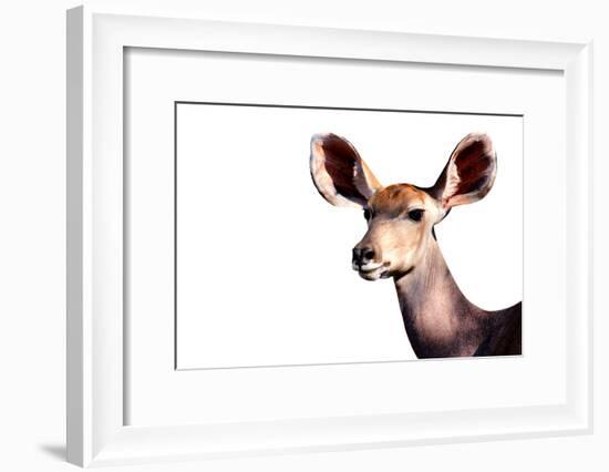 Safari Profile Collection - Antelope Impala Portrait White Edition-Philippe Hugonnard-Framed Photographic Print
