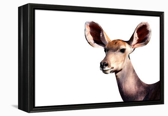 Safari Profile Collection - Antelope Impala Portrait White Edition-Philippe Hugonnard-Framed Premier Image Canvas