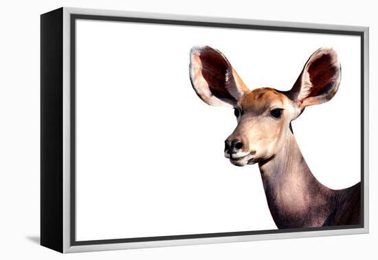 Safari Profile Collection - Antelope Impala Portrait White Edition-Philippe Hugonnard-Framed Premier Image Canvas