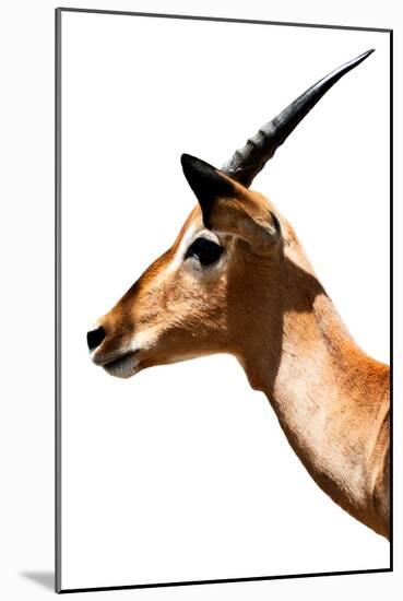 Safari Profile Collection - Antelope Impala White Edition VI-Philippe Hugonnard-Mounted Photographic Print