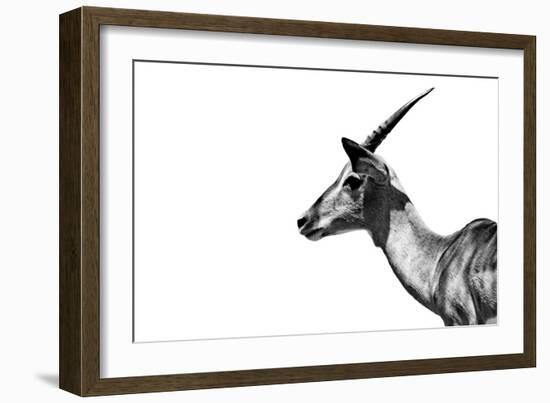 Safari Profile Collection - Antelope Impala White Edition-Philippe Hugonnard-Framed Photographic Print