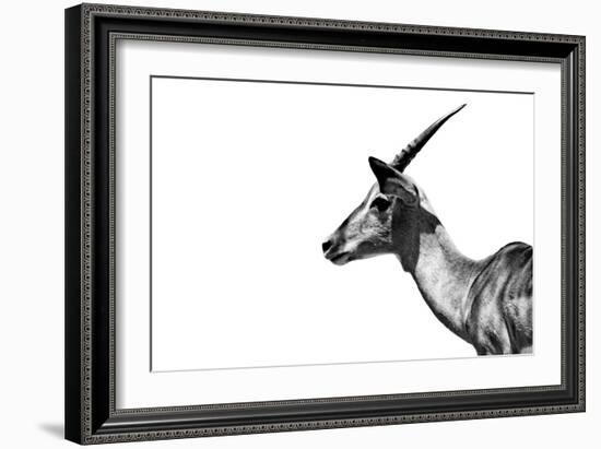 Safari Profile Collection - Antelope Impala White Edition-Philippe Hugonnard-Framed Photographic Print