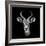 Safari Profile Collection - Antelope Portrait Black Edition III-Philippe Hugonnard-Framed Photographic Print