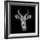 Safari Profile Collection - Antelope Portrait Black Edition III-Philippe Hugonnard-Framed Photographic Print