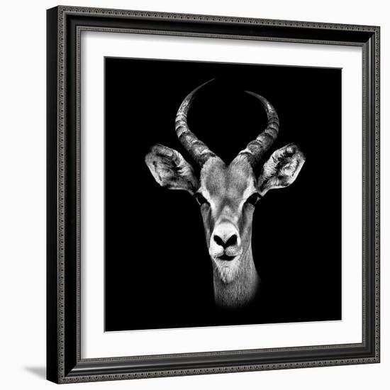 Safari Profile Collection - Antelope Portrait Black Edition III-Philippe Hugonnard-Framed Photographic Print