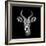 Safari Profile Collection - Antelope Portrait Black Edition III-Philippe Hugonnard-Framed Photographic Print