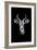 Safari Profile Collection - Antelope Portrait Black Edition-Philippe Hugonnard-Framed Photographic Print