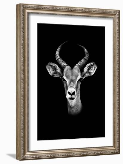 Safari Profile Collection - Antelope Portrait Black Edition-Philippe Hugonnard-Framed Photographic Print