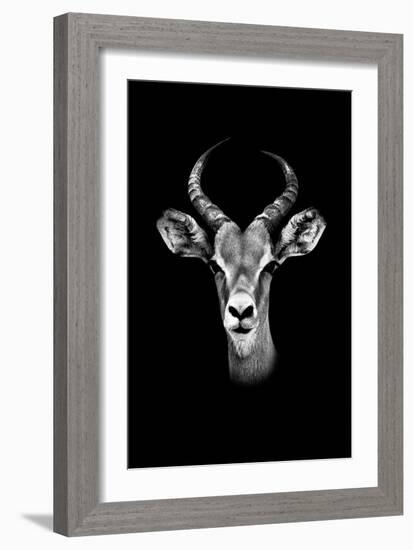 Safari Profile Collection - Antelope Portrait Black Edition-Philippe Hugonnard-Framed Photographic Print