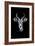 Safari Profile Collection - Antelope Portrait Black Edition-Philippe Hugonnard-Framed Photographic Print