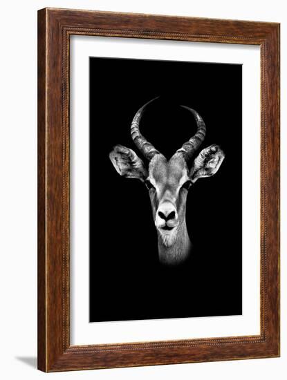 Safari Profile Collection - Antelope Portrait Black Edition-Philippe Hugonnard-Framed Photographic Print