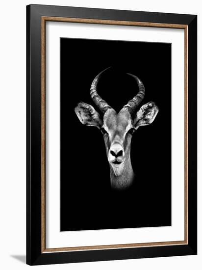 Safari Profile Collection - Antelope Portrait Black Edition-Philippe Hugonnard-Framed Photographic Print