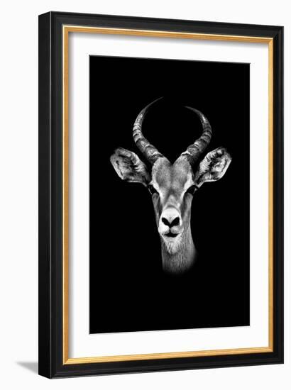 Safari Profile Collection - Antelope Portrait Black Edition-Philippe Hugonnard-Framed Photographic Print