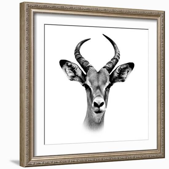 Safari Profile Collection - Antelope Portrait White Edition III-Philippe Hugonnard-Framed Photographic Print