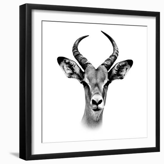 Safari Profile Collection - Antelope Portrait White Edition III-Philippe Hugonnard-Framed Photographic Print