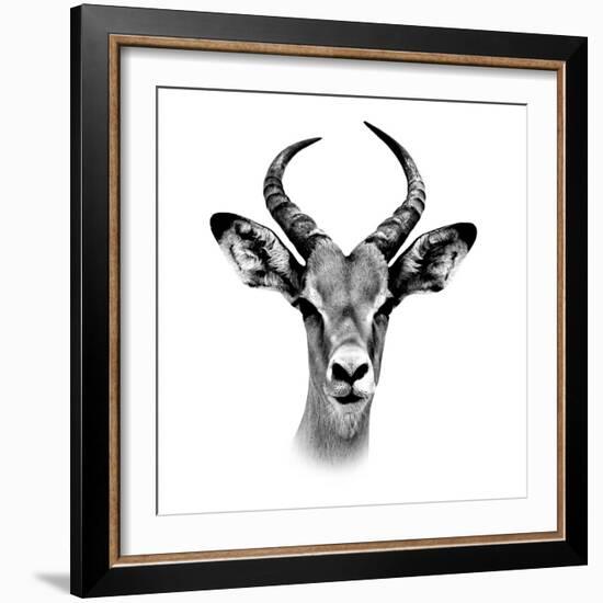 Safari Profile Collection - Antelope Portrait White Edition III-Philippe Hugonnard-Framed Photographic Print
