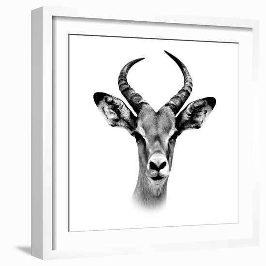 Safari Profile Collection - Antelope Portrait White Edition III-Philippe Hugonnard-Framed Photographic Print