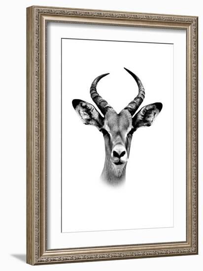 Safari Profile Collection - Antelope Portrait White Edition-Philippe Hugonnard-Framed Photographic Print