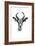 Safari Profile Collection - Antelope Portrait White Edition-Philippe Hugonnard-Framed Photographic Print