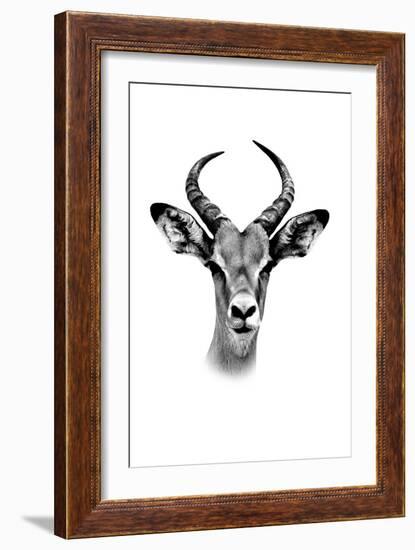 Safari Profile Collection - Antelope Portrait White Edition-Philippe Hugonnard-Framed Photographic Print