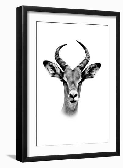 Safari Profile Collection - Antelope Portrait White Edition-Philippe Hugonnard-Framed Photographic Print