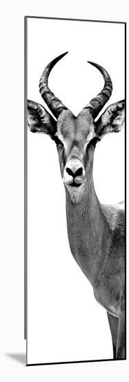 Safari Profile Collection - Antelope White Edition III-Philippe Hugonnard-Mounted Photographic Print