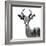 Safari Profile Collection - Antelope White Edition V-Philippe Hugonnard-Framed Photographic Print