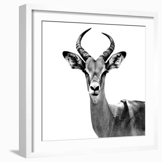 Safari Profile Collection - Antelope White Edition V-Philippe Hugonnard-Framed Photographic Print