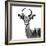 Safari Profile Collection - Antelope White Edition V-Philippe Hugonnard-Framed Photographic Print