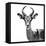 Safari Profile Collection - Antelope White Edition V-Philippe Hugonnard-Framed Premier Image Canvas