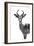 Safari Profile Collection - Antelope White Edition-Philippe Hugonnard-Framed Photographic Print