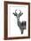 Safari Profile Collection - Antelope White Edition-Philippe Hugonnard-Framed Photographic Print