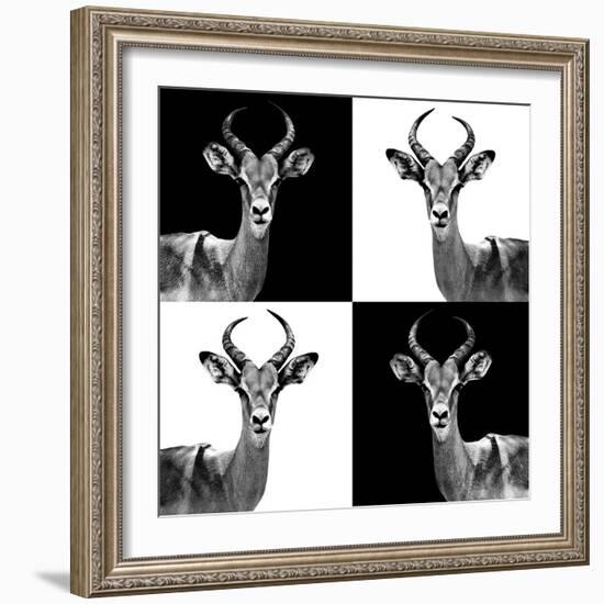 Safari Profile Collection - Antelopes II-Philippe Hugonnard-Framed Photographic Print