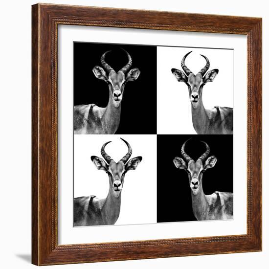 Safari Profile Collection - Antelopes II-Philippe Hugonnard-Framed Photographic Print