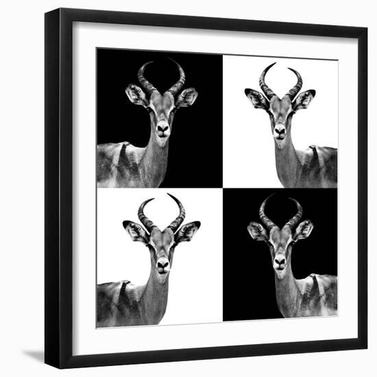Safari Profile Collection - Antelopes II-Philippe Hugonnard-Framed Photographic Print