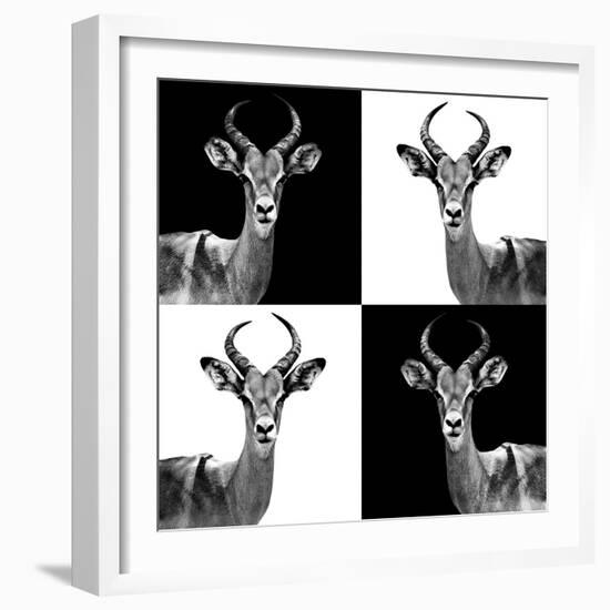 Safari Profile Collection - Antelopes II-Philippe Hugonnard-Framed Photographic Print