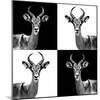 Safari Profile Collection - Antelopes II-Philippe Hugonnard-Mounted Photographic Print