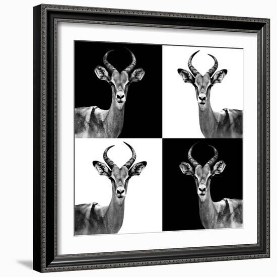 Safari Profile Collection - Antelopes II-Philippe Hugonnard-Framed Photographic Print