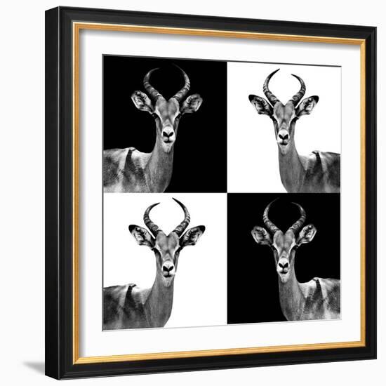 Safari Profile Collection - Antelopes II-Philippe Hugonnard-Framed Photographic Print