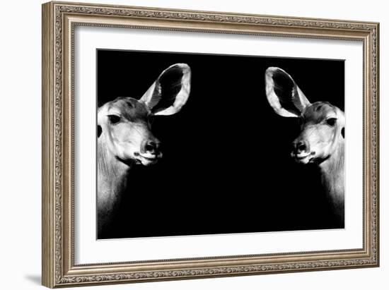 Safari Profile Collection - Antelopes Impalas Face to Face Black Edition II-Philippe Hugonnard-Framed Photographic Print