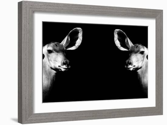 Safari Profile Collection - Antelopes Impalas Face to Face Black Edition II-Philippe Hugonnard-Framed Photographic Print