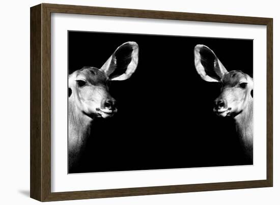 Safari Profile Collection - Antelopes Impalas Face to Face Black Edition II-Philippe Hugonnard-Framed Photographic Print