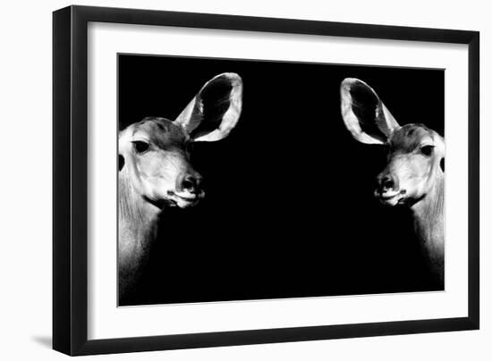 Safari Profile Collection - Antelopes Impalas Face to Face Black Edition II-Philippe Hugonnard-Framed Photographic Print