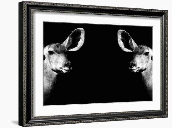 Safari Profile Collection - Antelopes Impalas Face to Face Black Edition II-Philippe Hugonnard-Framed Photographic Print