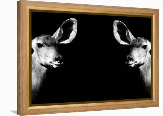 Safari Profile Collection - Antelopes Impalas Face to Face Black Edition II-Philippe Hugonnard-Framed Premier Image Canvas