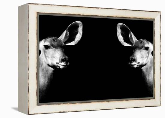 Safari Profile Collection - Antelopes Impalas Face to Face Black Edition II-Philippe Hugonnard-Framed Premier Image Canvas